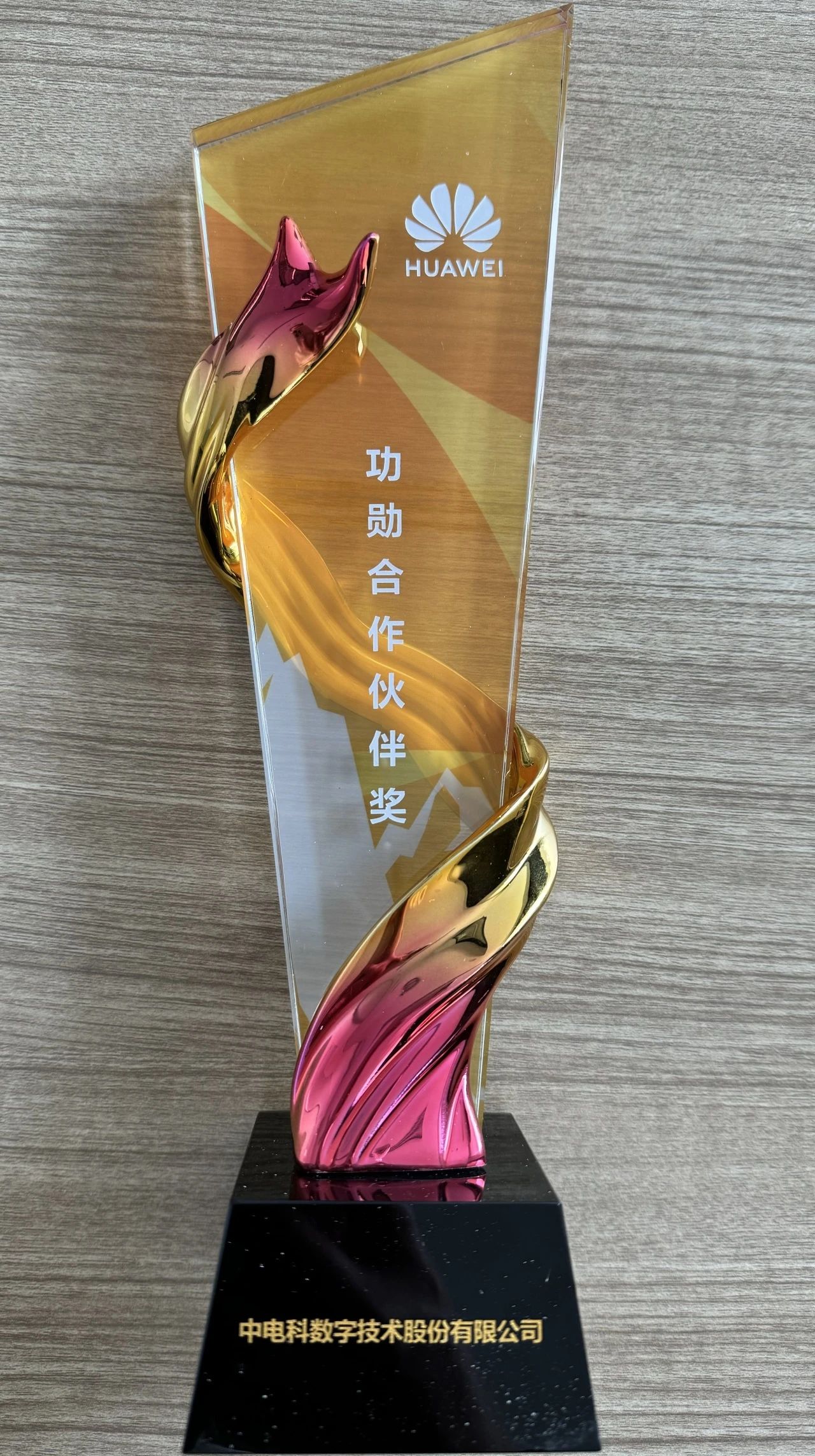 中电科数字技术股份有限公司